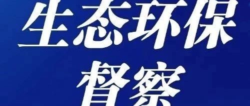 中央环保督查最新动态，科技引领绿色生活新篇章启动