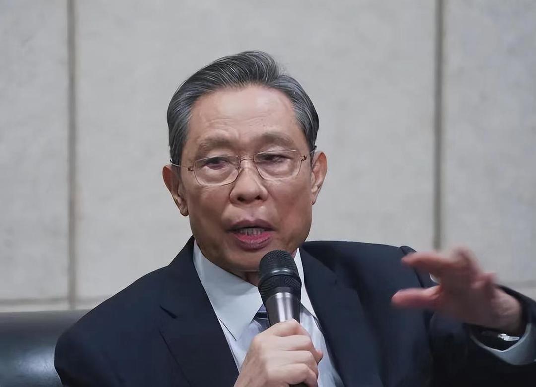 变色龙最新观点分析与阐述