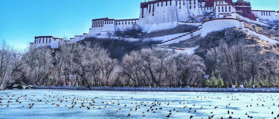 尼桑天籁最新价格，寻找内心平静的旅程之旅