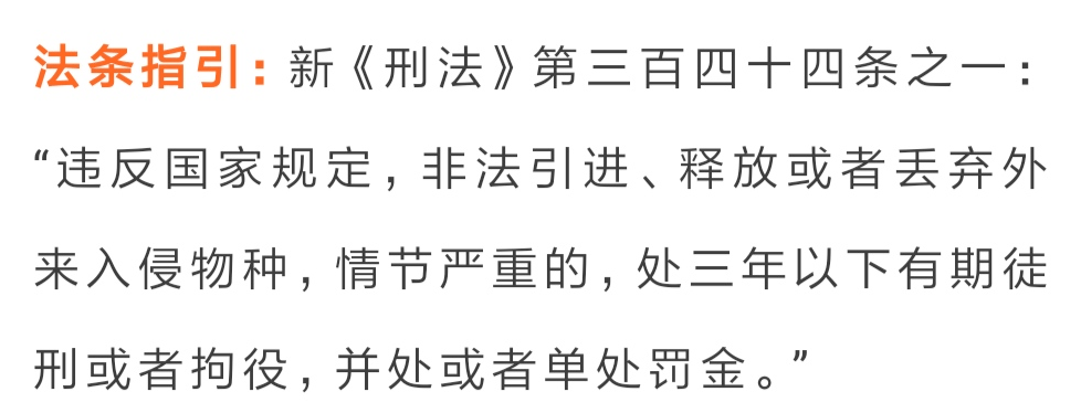 非吸罪最新量刑标准与小巷深处的独特风味探索揭秘