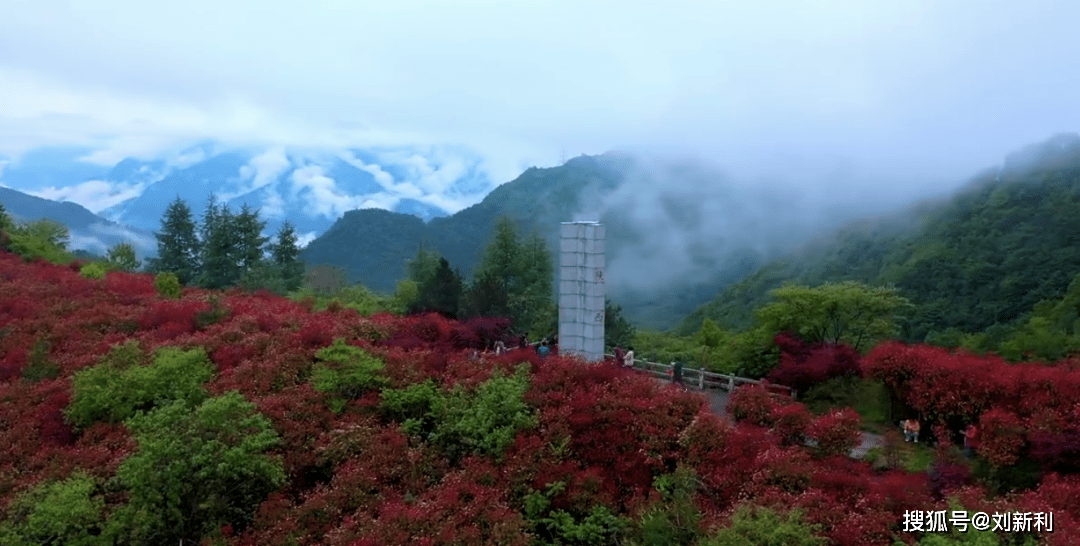 山东章鼓最新动态，自然美景探索之旅的心灵觉醒与洗涤