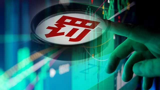证监会最新信息公告揭秘，投资者需关注的重要动态📢