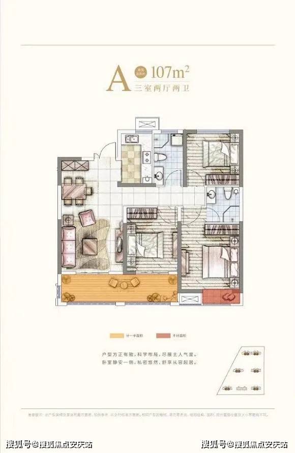 江苏大蒜价格最新行情分析与趋势预测