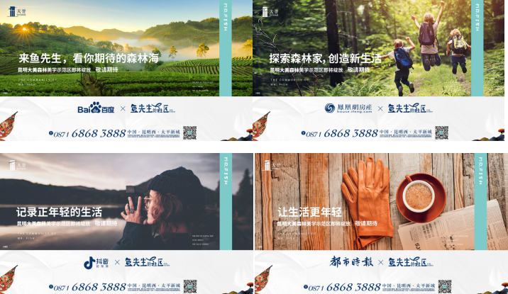 中文传媒最新动态，探索自然美景之旅，心灵宁静之旅启程