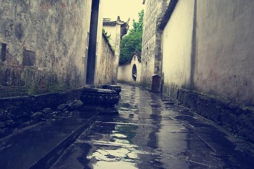 探索小巷深处，独特风景与隐藏特色小店——最新环图片欣赏