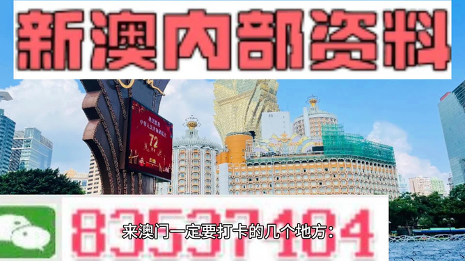 2024年新澳开奖结果公布,社会责任法案实施_远光版95.638