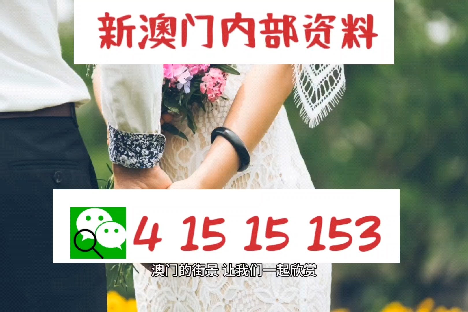 2024澳门精准正版图库,社会责任法案实施_方便版95.545