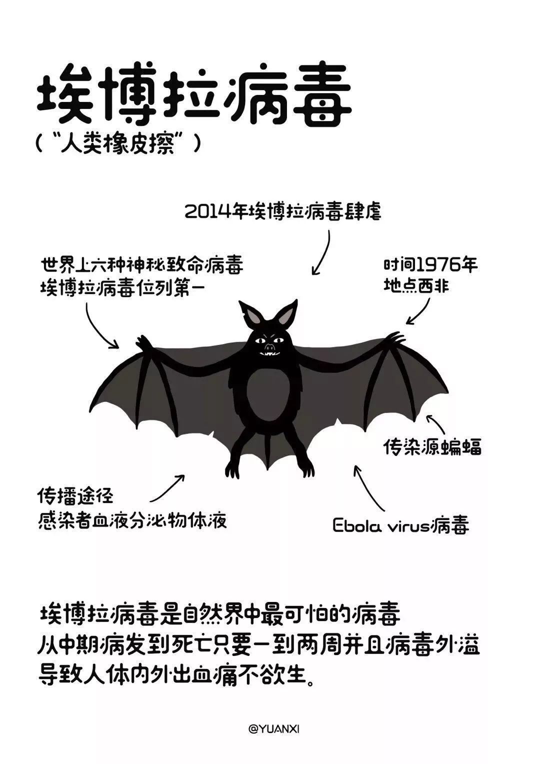 最新病毒表现,最新病毒表现大解析🚨 警惕身边的隐形威胁🔥