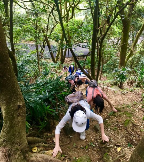 铸铁平板平台 第226页