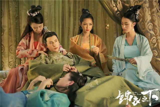 锦衣之夏最新热播剧，多元解读与深度探讨