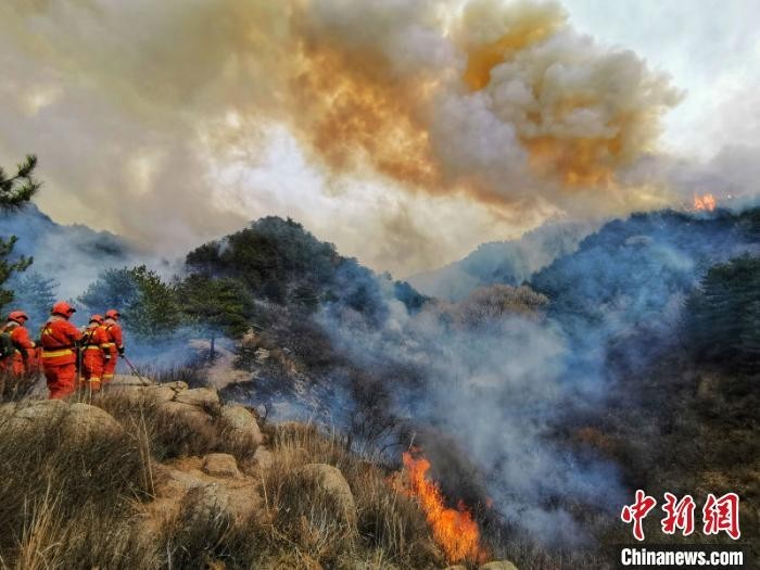 美国山火最新动态，力量转变与励志之光
