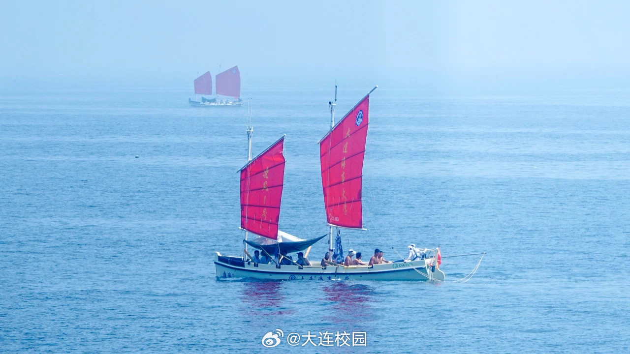 岳阳最新渡情，乘风破浪的励志之旅