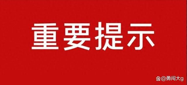 天通金最新动态更新，最新消息汇总
