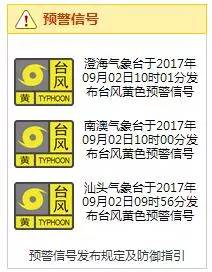 玛娃最新动态更新，最新消息一览