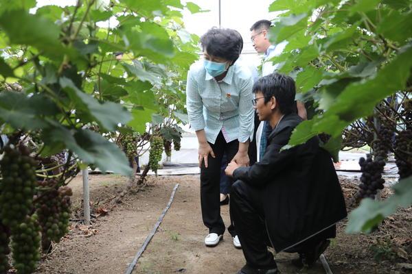 郸城教师工资最新动态，励志之旅，开启自信与成就之门