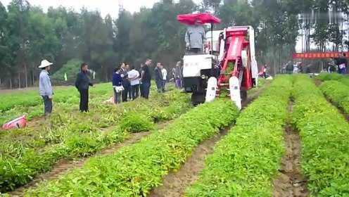 揭秘，科技与农业的完美结合——2016最新型花生收获机介绍