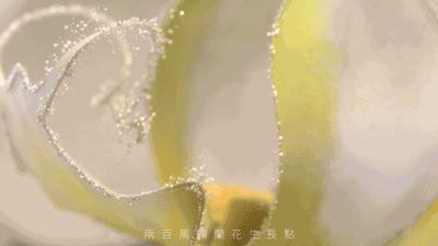 兰花集团领导最新动向揭秘，步骤指南与动态更新
