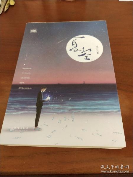 林笛儿最新小说夏空，时代印记与情感共鸣的交织