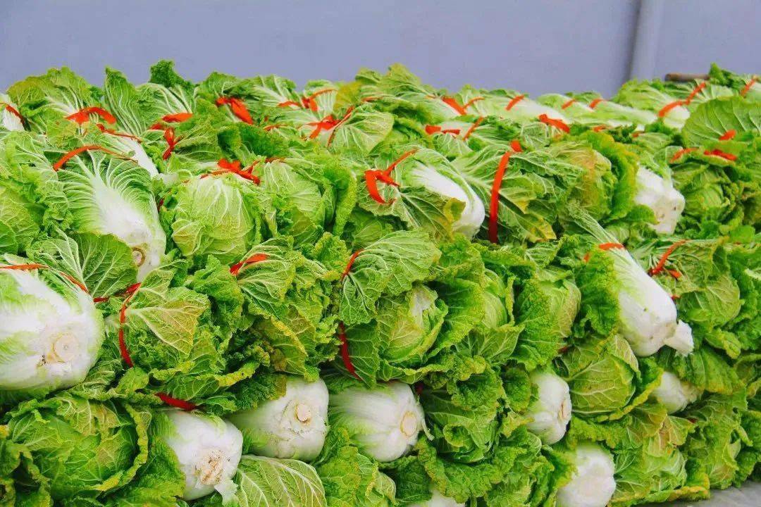 泊头市龙行天下机械设备 第148页
