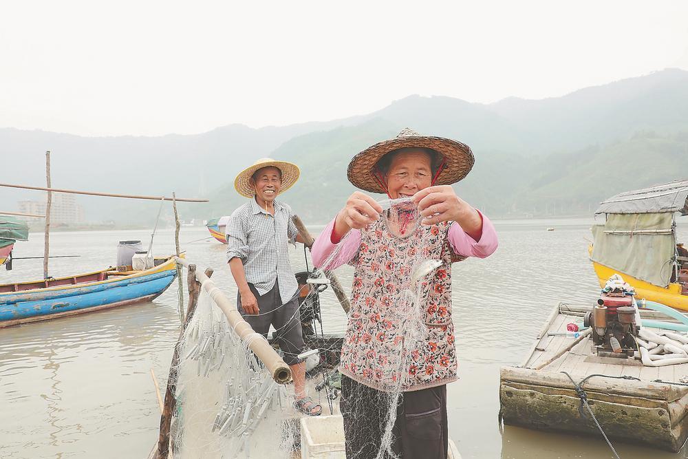捕鱼合集最新攻略，畅游知识海洋，游向成功彼岸