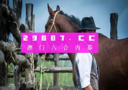 澳门精准一肖一码一一中,实地验证实施_神秘版57.119