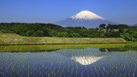日本最新电视剧，自然之旅，探寻内心平静之旅