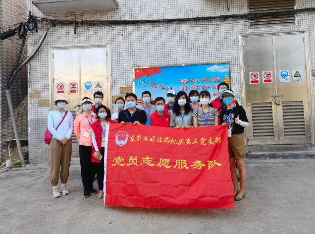 石家庄疫情最新动态，变化中的力量与学习带来的自信与成就感