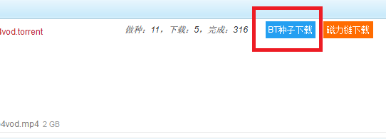 最新BT下载详解，步骤指南与下载技巧分享