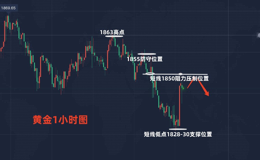 黄金最新走势预测，探寻金光闪闪的未来走向揭秘！
