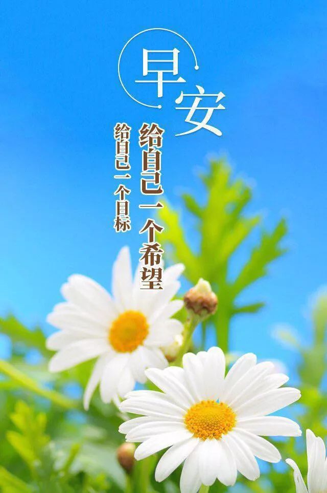 最新早安语录，唤醒自信与活力，开启美好一天