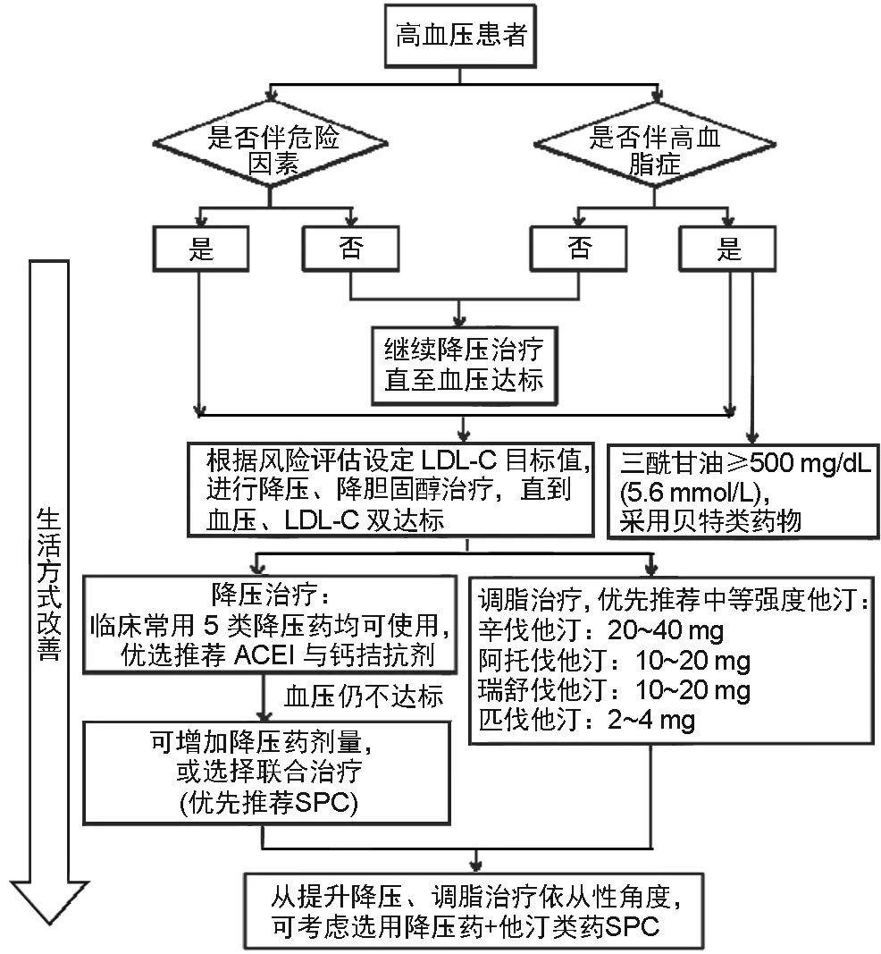 高血压最新指南详解，理解并管理高血压的有效方法
