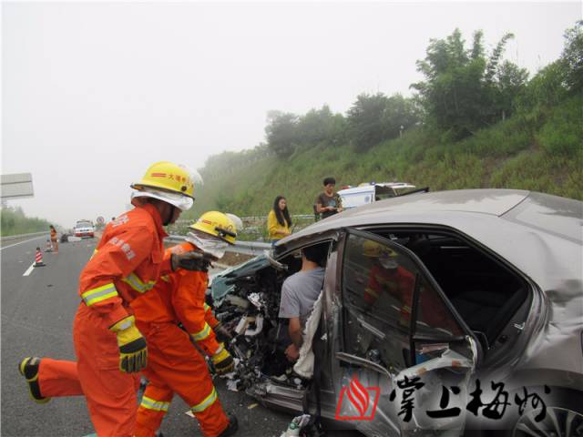 最新高速车祸事件，悲剧引发的警醒与反思