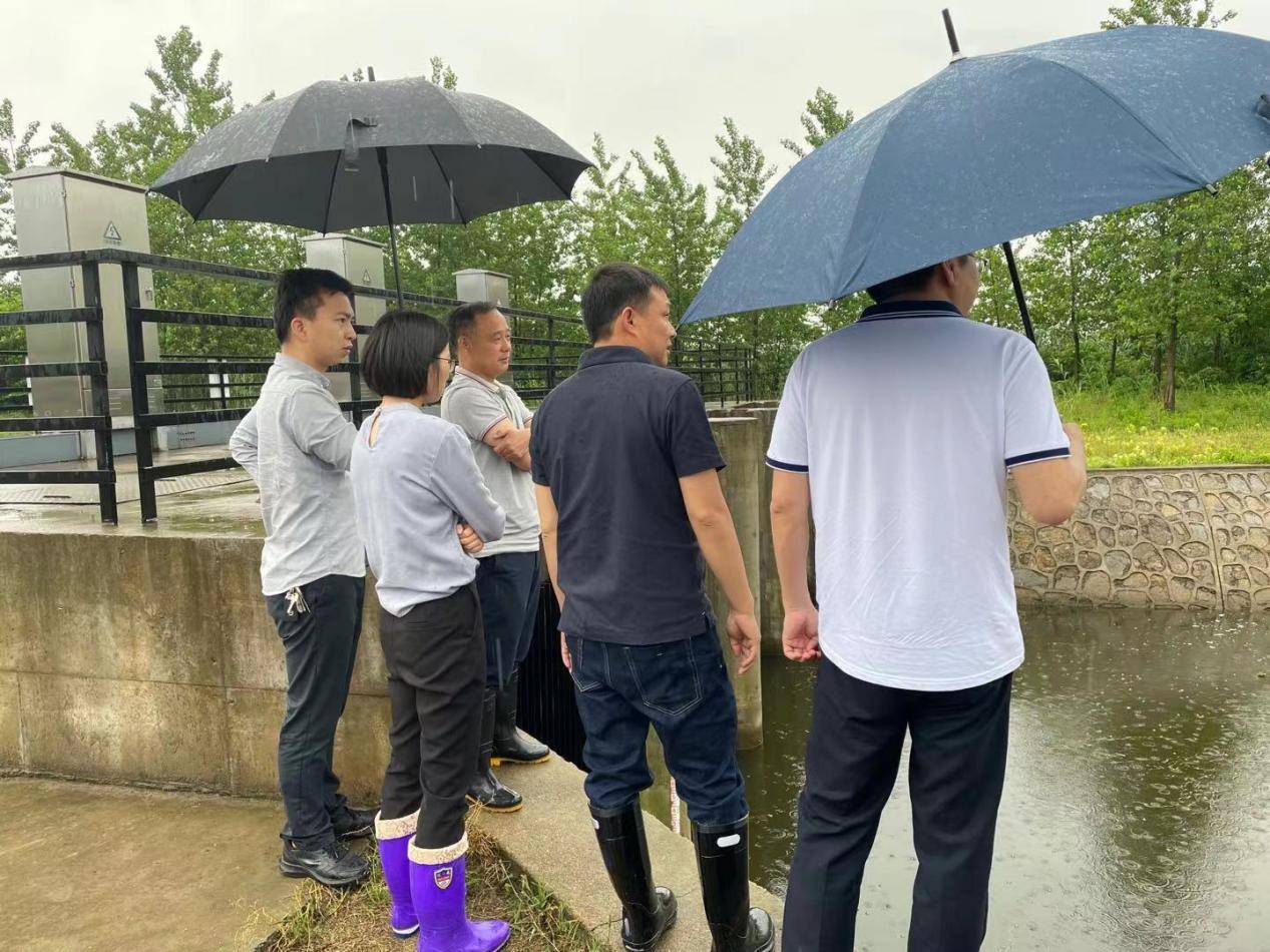 小度最新款，创新与发展的双刃剑效应探索