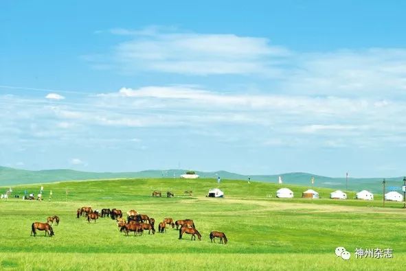 草原音乐的魅力之旅，最新草原歌曲风潮涌动
