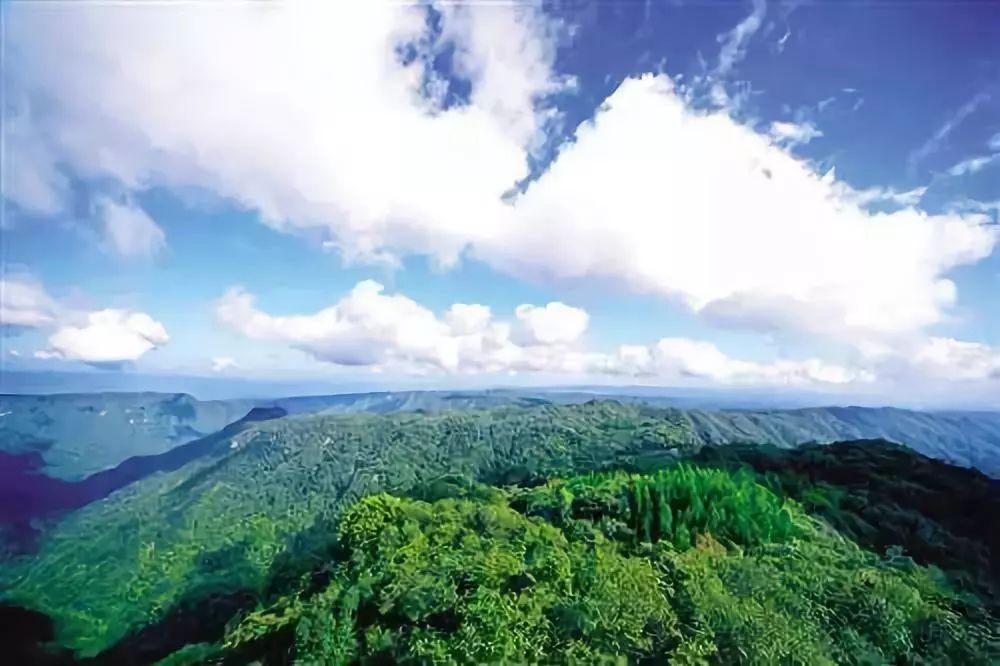 伏天氏最新探险之旅，自然美景中寻找内心平和与喜悦