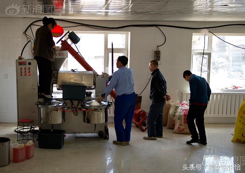 大豆油最新价格及自然美景旅行探索