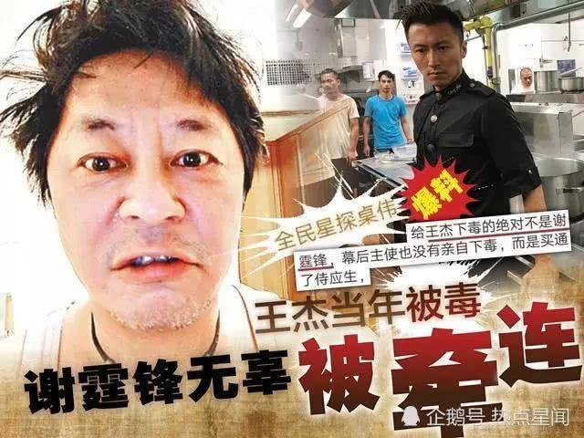 王杰最新动态，日常趣事与友情的温馨瞬间回顾