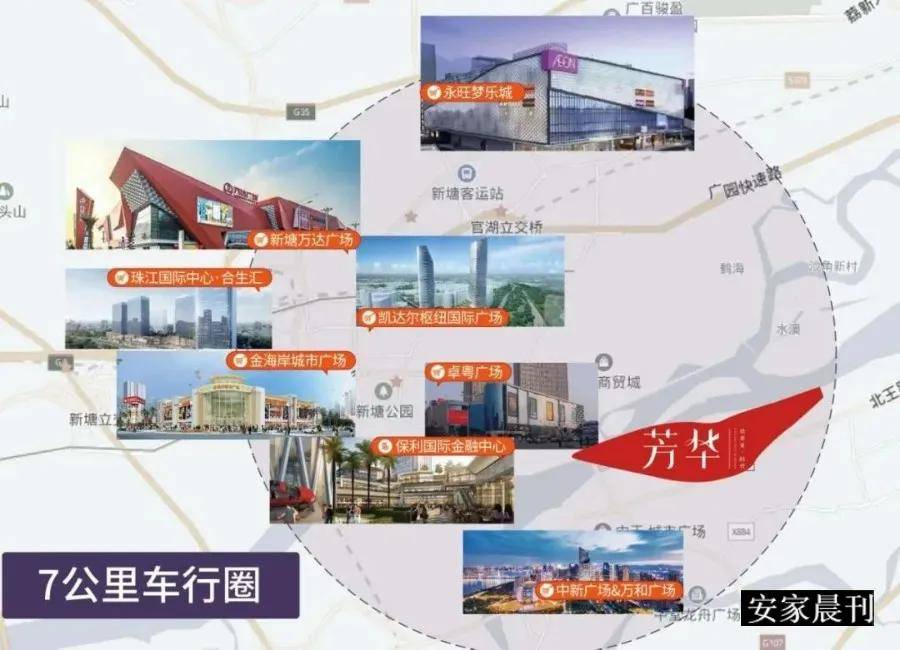 揭秘最新鸟哥，背景、重大事件与时代印记的探寻
