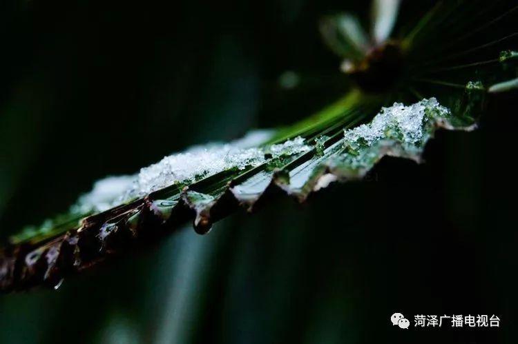 菏泽诈骗案背后的探索自然美景之旅，寻找内心的平静之路