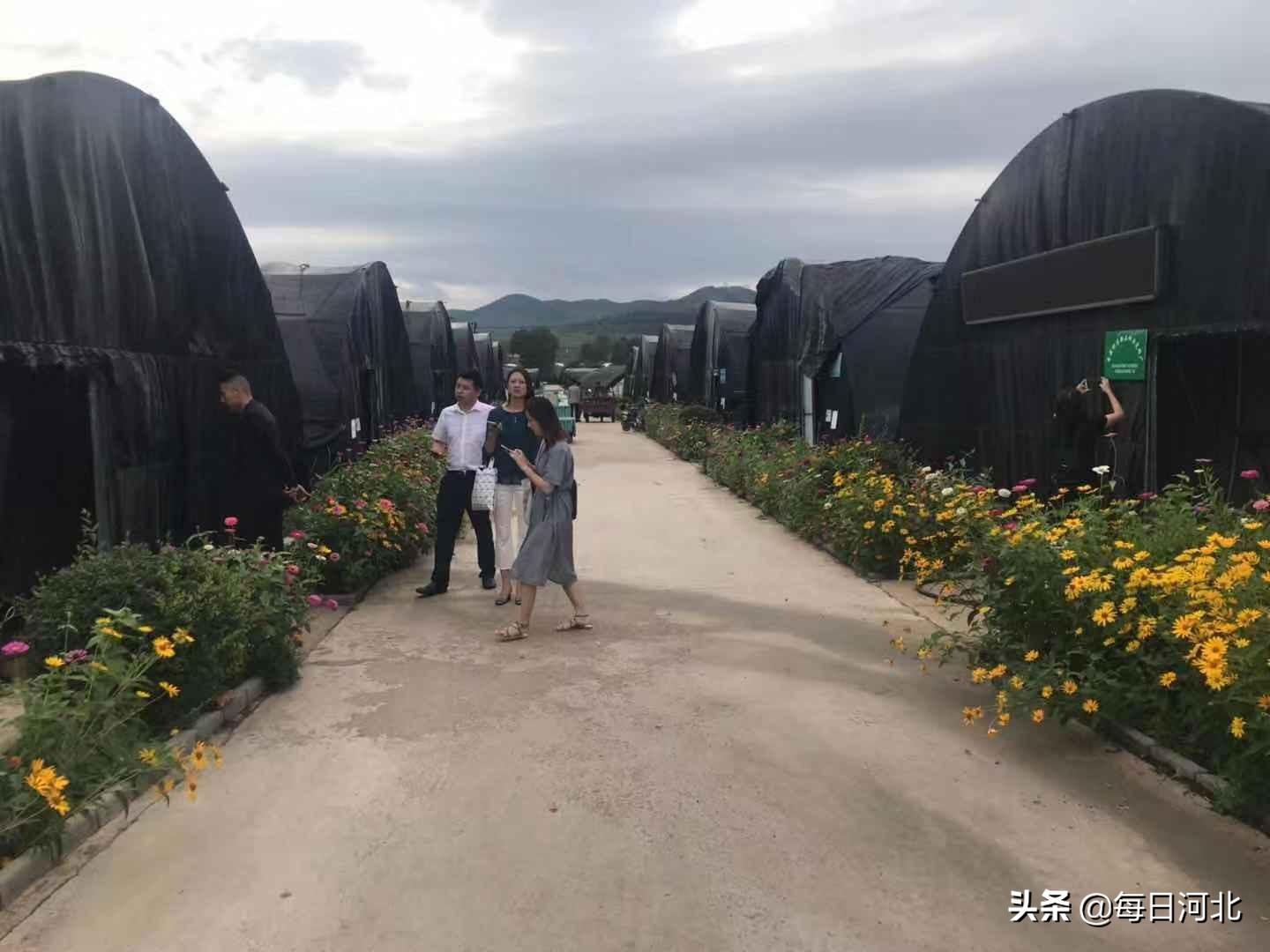 百姓网最新招聘信息，学习变化，拥抱未来，共创无限可能