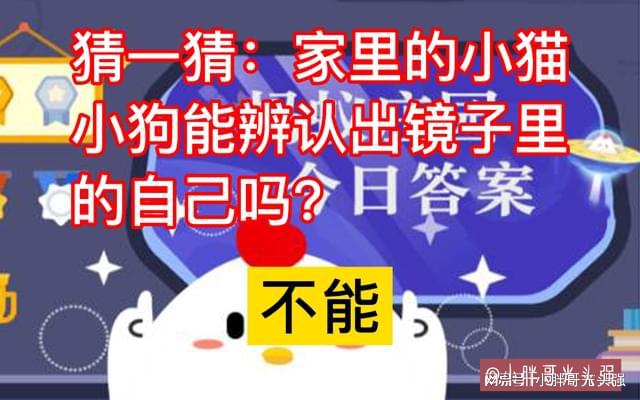 今日招聘网最新招聘，小幸运与大家庭的温暖招聘启事
