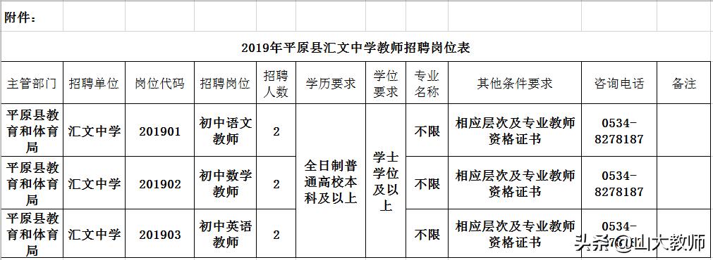 平原最新招聘深度解析，观点阐述与分析