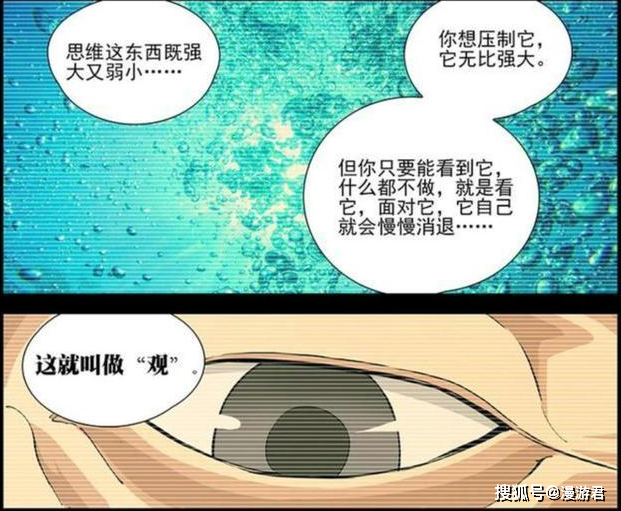 一护最新深度解析与观点阐述