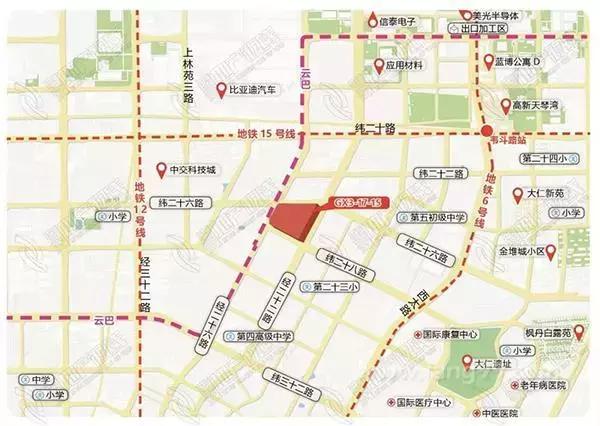 最新拍一拍，技术、应用与趋势概览