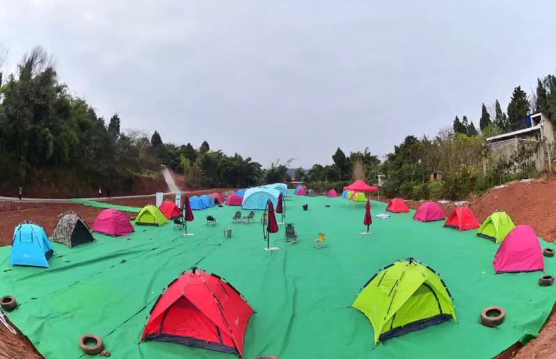 省教育厅最新通知引发教育热议，观点探析与反响观察