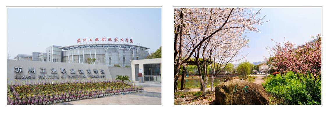 苏州最新招聘信息深度解析，多维度视角下的观点论述