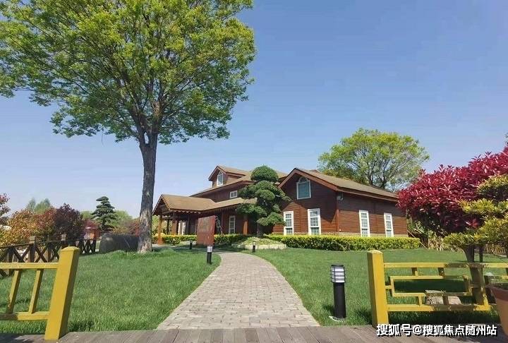 宏远最新动态揭秘，小巷中的隐藏美食宝藏