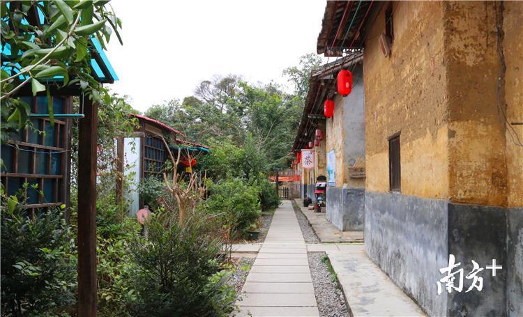英德新闻最新动态，自然美景探索之旅的治愈力量