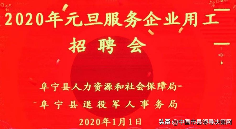 阜宁最新招聘，求职全流程指南及招聘信息汇总