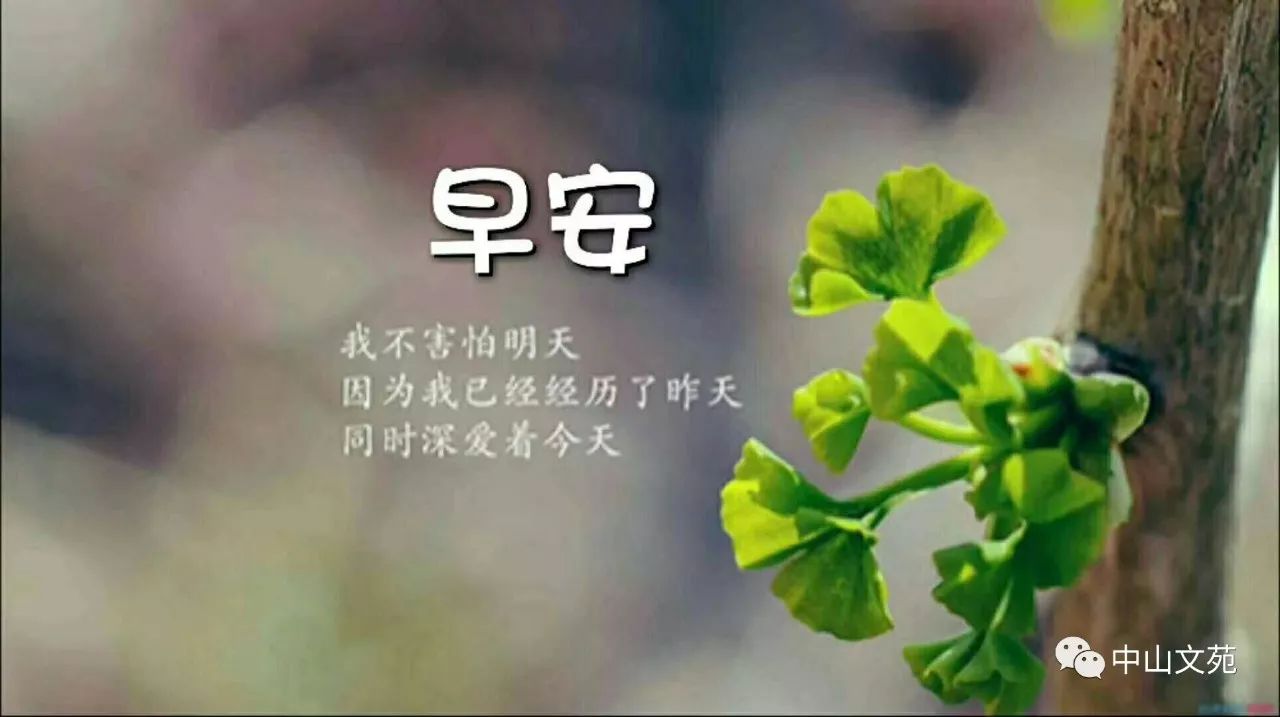 泊头市龙行天下机械设备 第124页